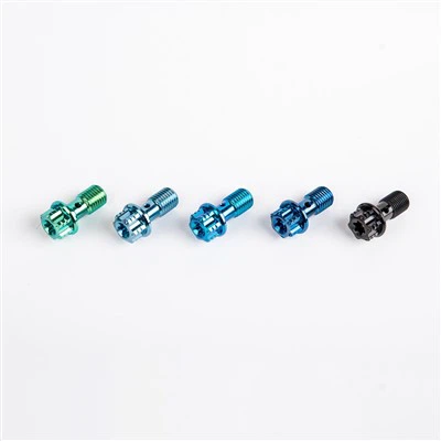 M10×1,0 Oljerörsskruv